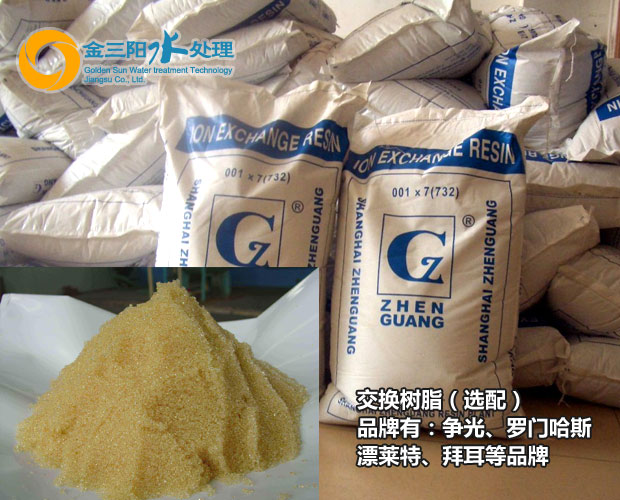阳离子交换器